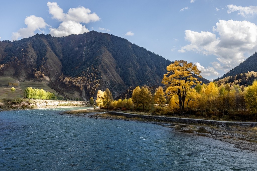 行走在如画的秋里