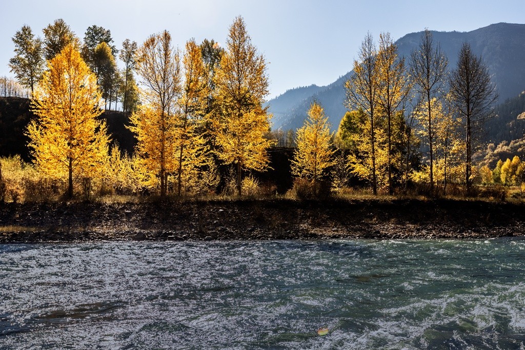 行走在如画的秋里