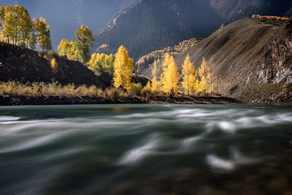 行走在如画的秋里