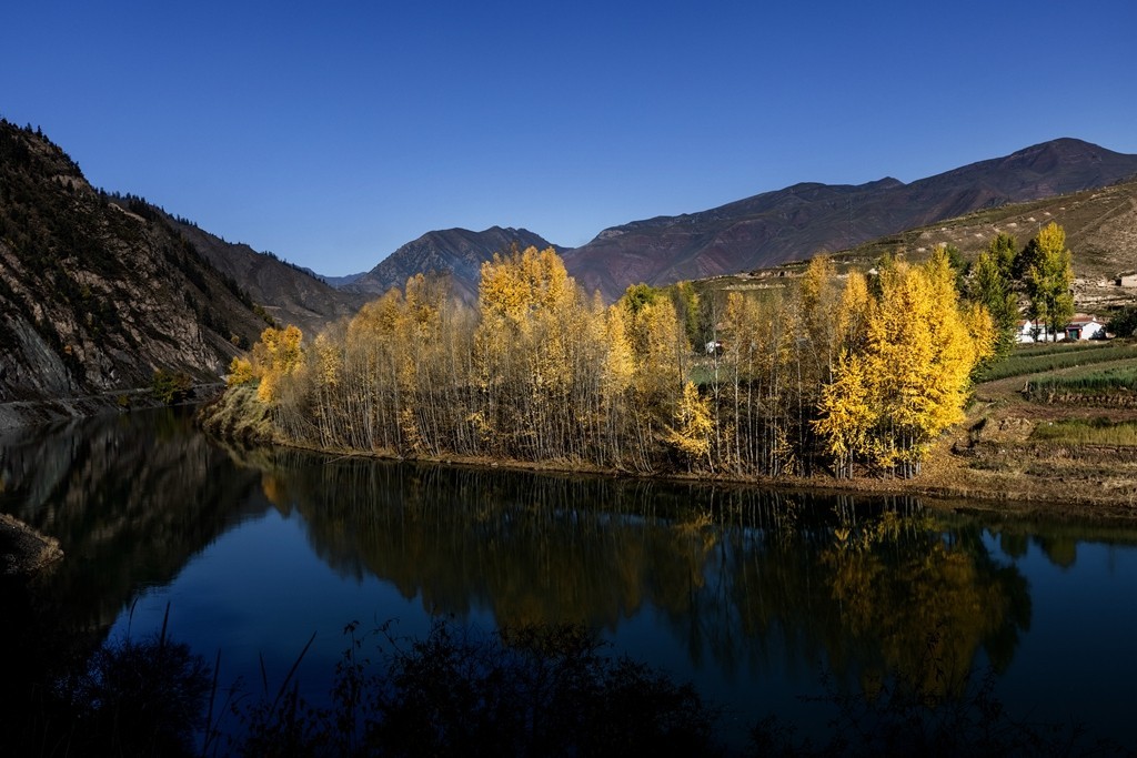 行走在如画的秋里