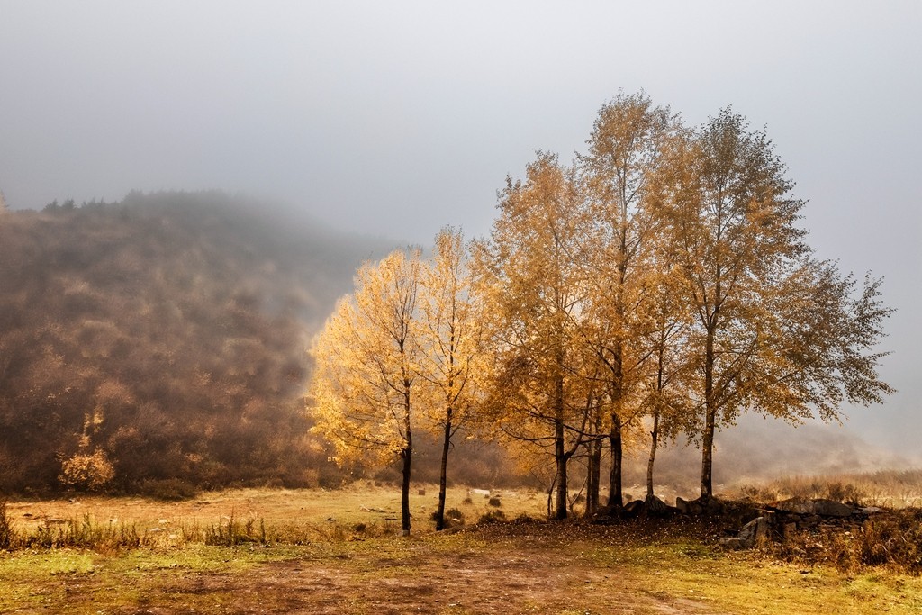 行走在如画的秋里