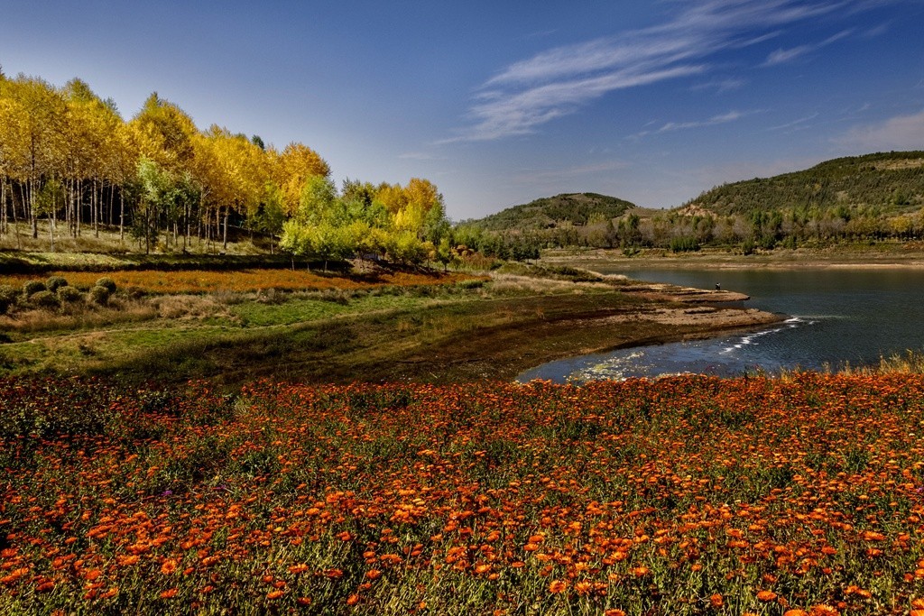 行走在如画的秋里