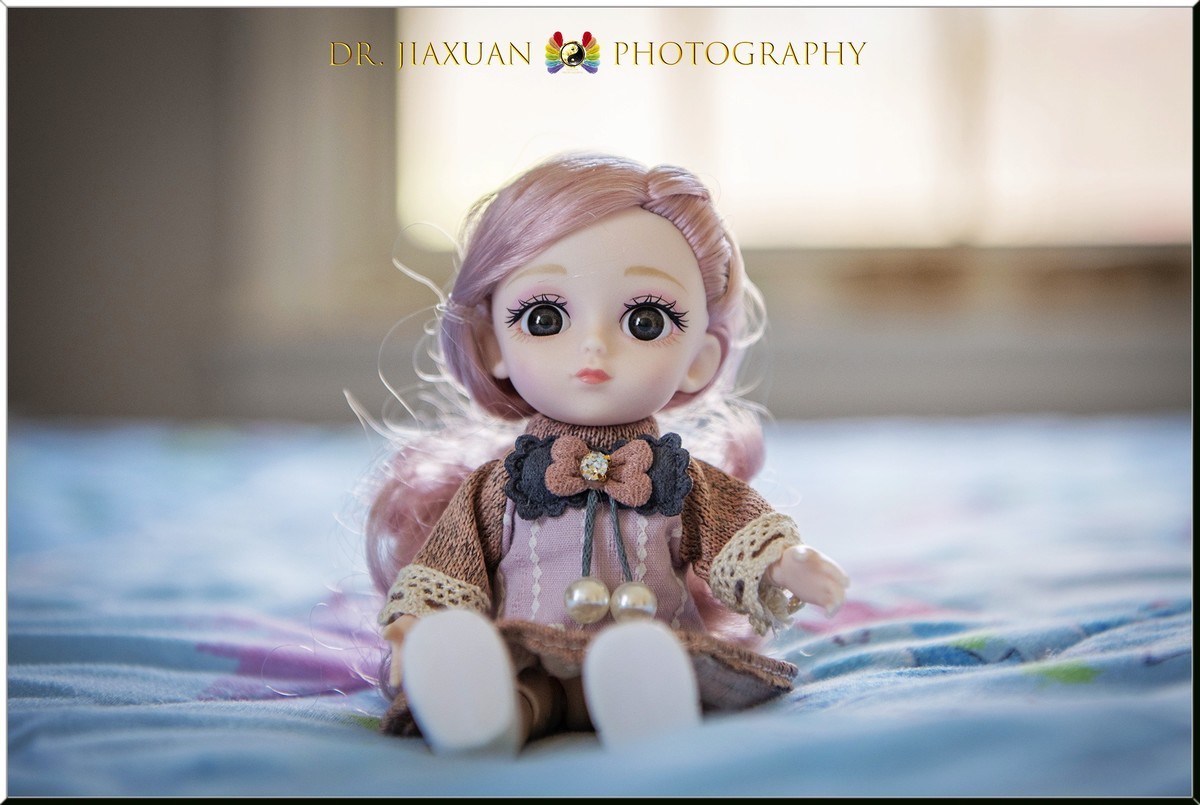 【稼轩摄影】玩偶之家-之一！