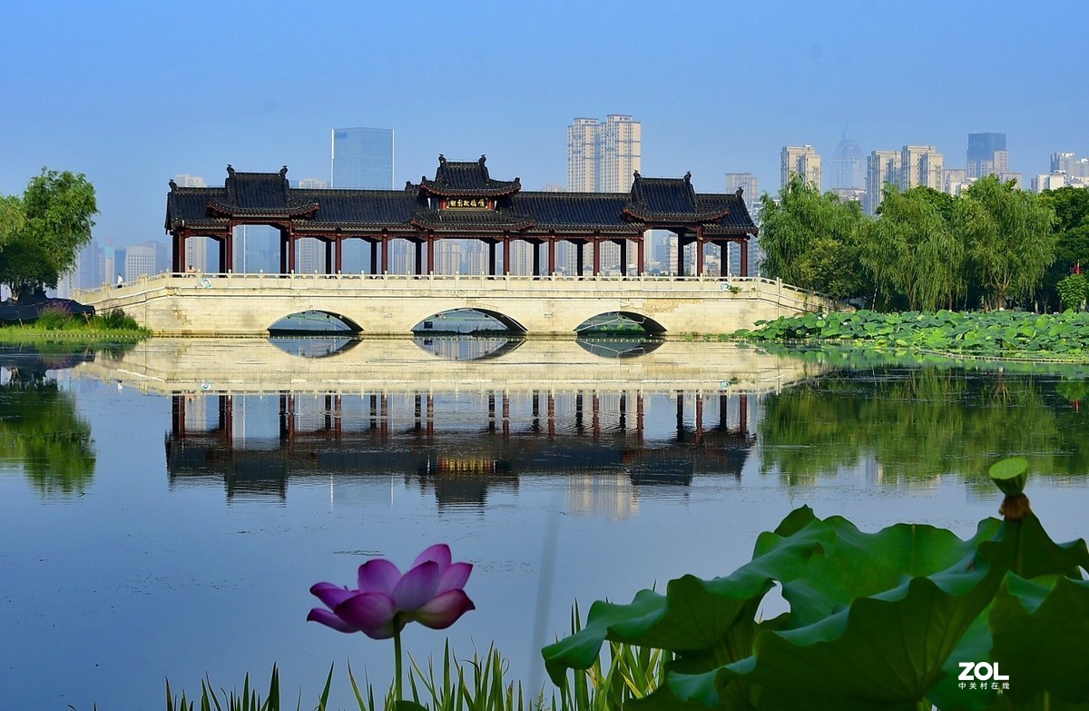 晨拍沙湖公园