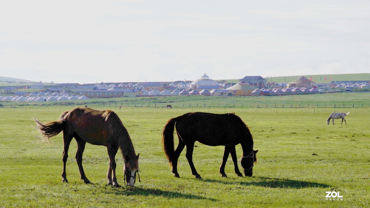 呼伦贝尔草原随拍【15】草原牧场