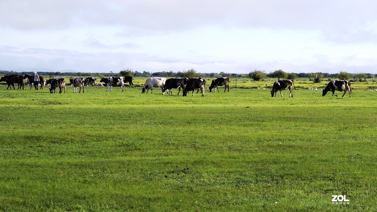 呼伦贝尔草原随拍【15】草原牧场