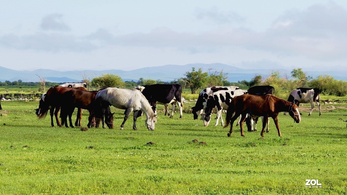 呼伦贝尔草原随拍【15】草原牧场