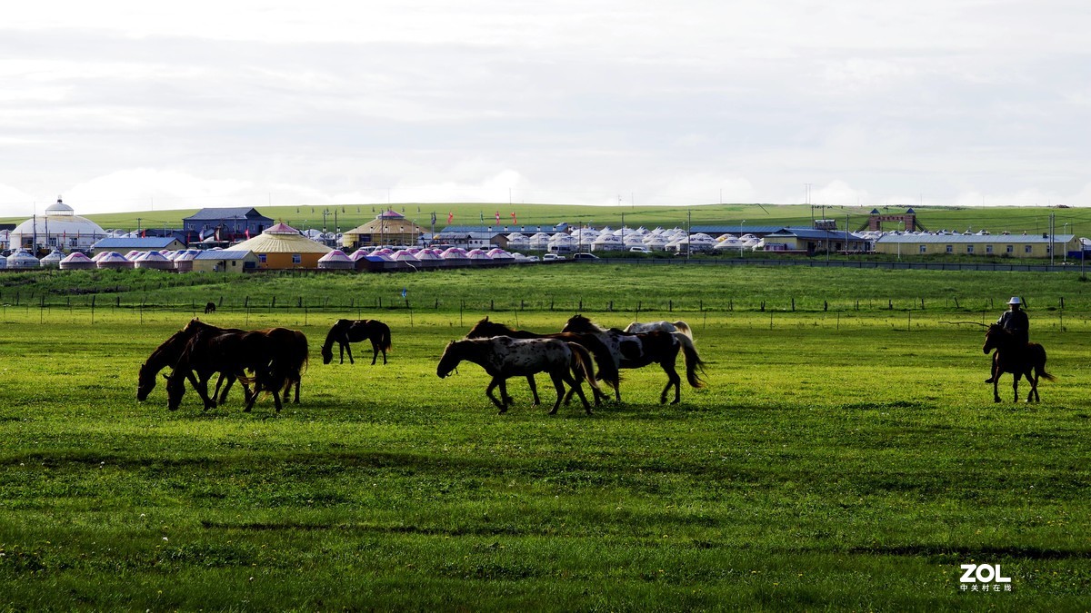 呼伦贝尔草原随拍【15】草原牧场