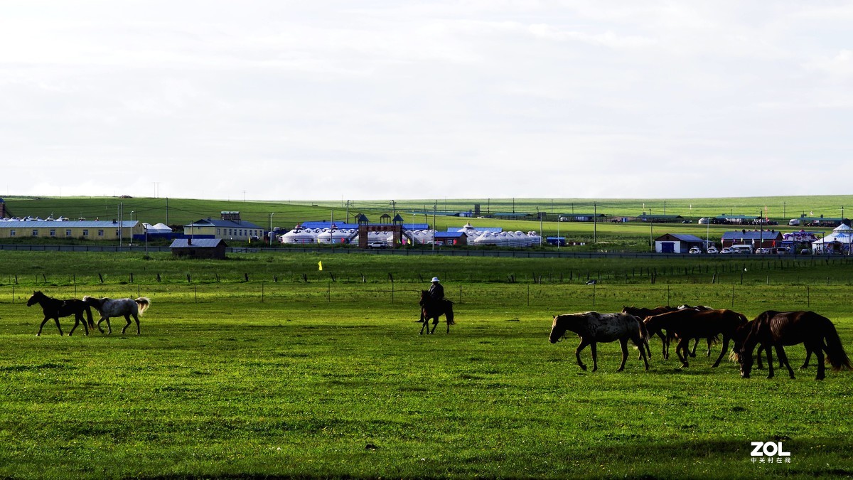 呼伦贝尔草原随拍【15】草原牧场