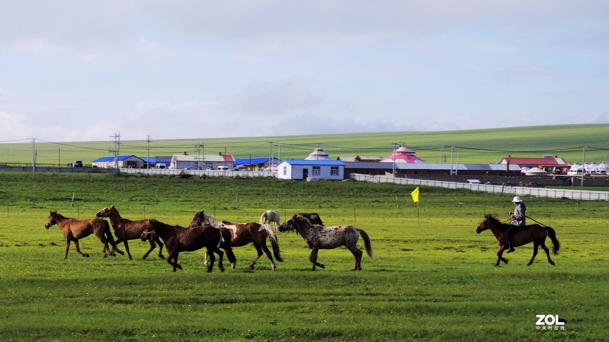 呼伦贝尔草原随拍【15】草原牧场