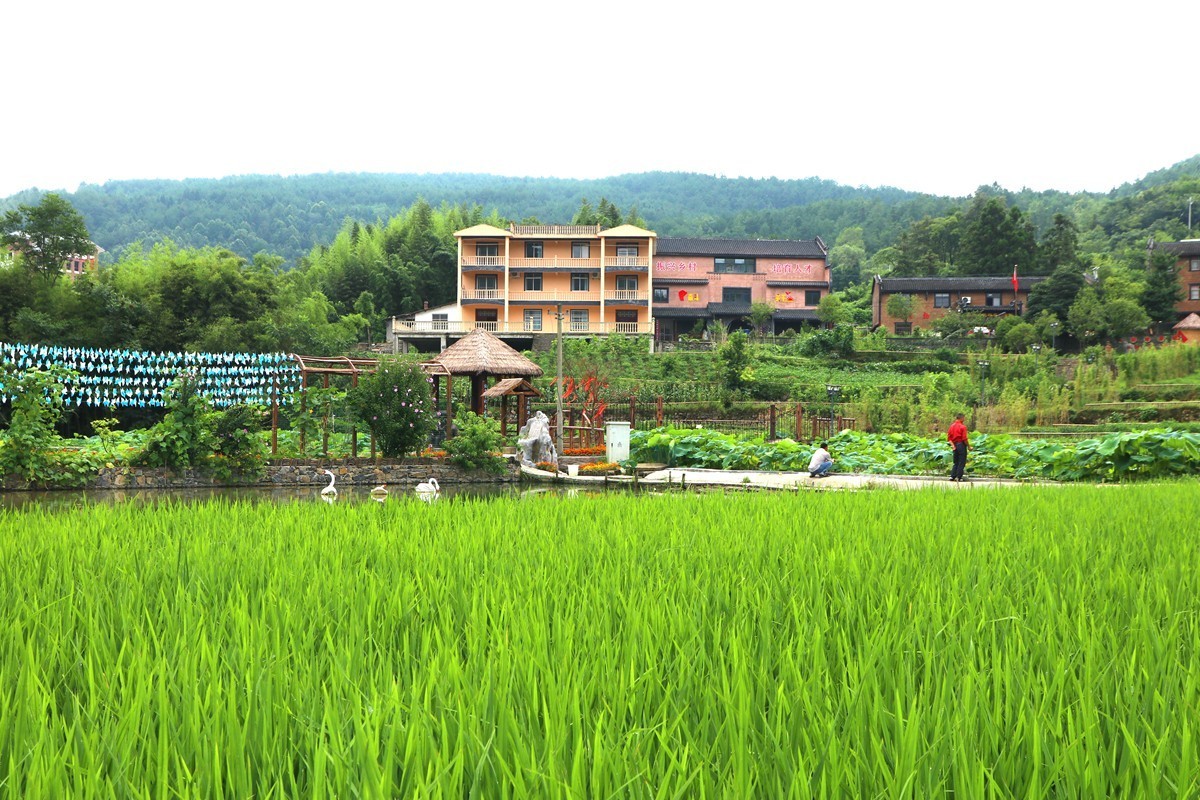 武隆白马镇板桥村避暑漫游