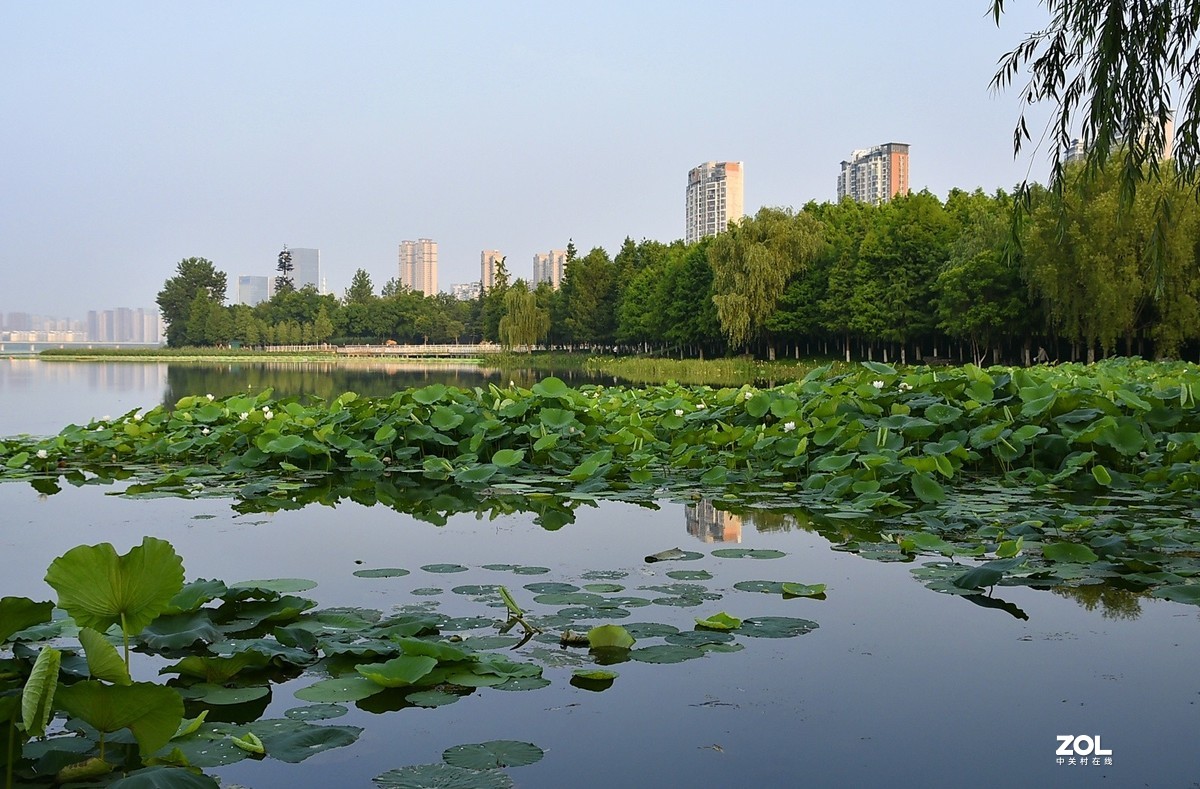 晨拍沙湖公園