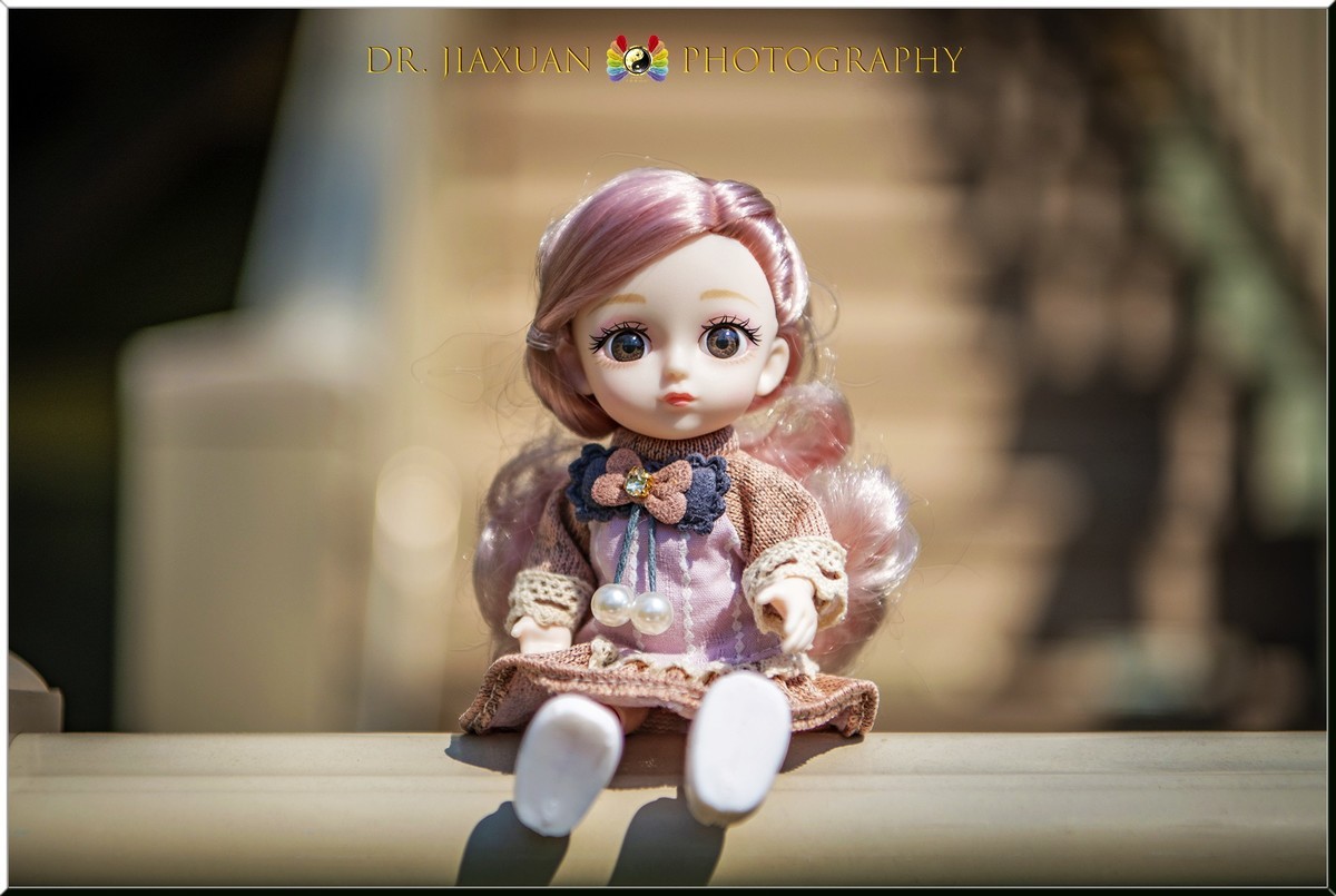 【稼轩摄影】玩偶之家-之一！
