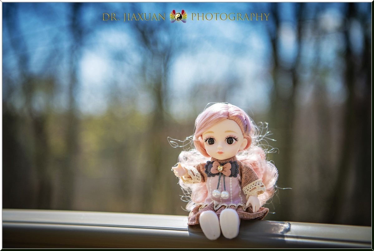 【稼轩摄影】玩偶之家-之一！