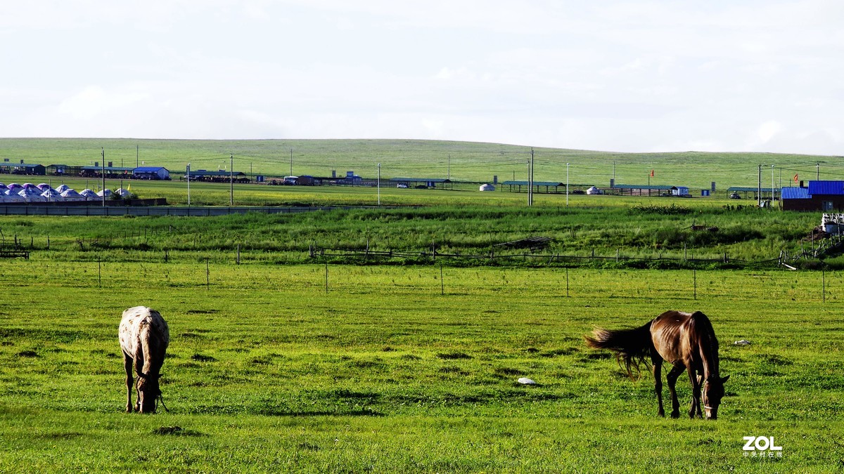 呼伦贝尔草原随拍【15】草原牧场