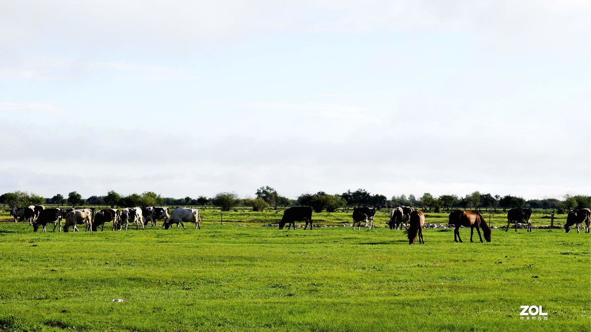 呼伦贝尔草原随拍【15】草原牧场