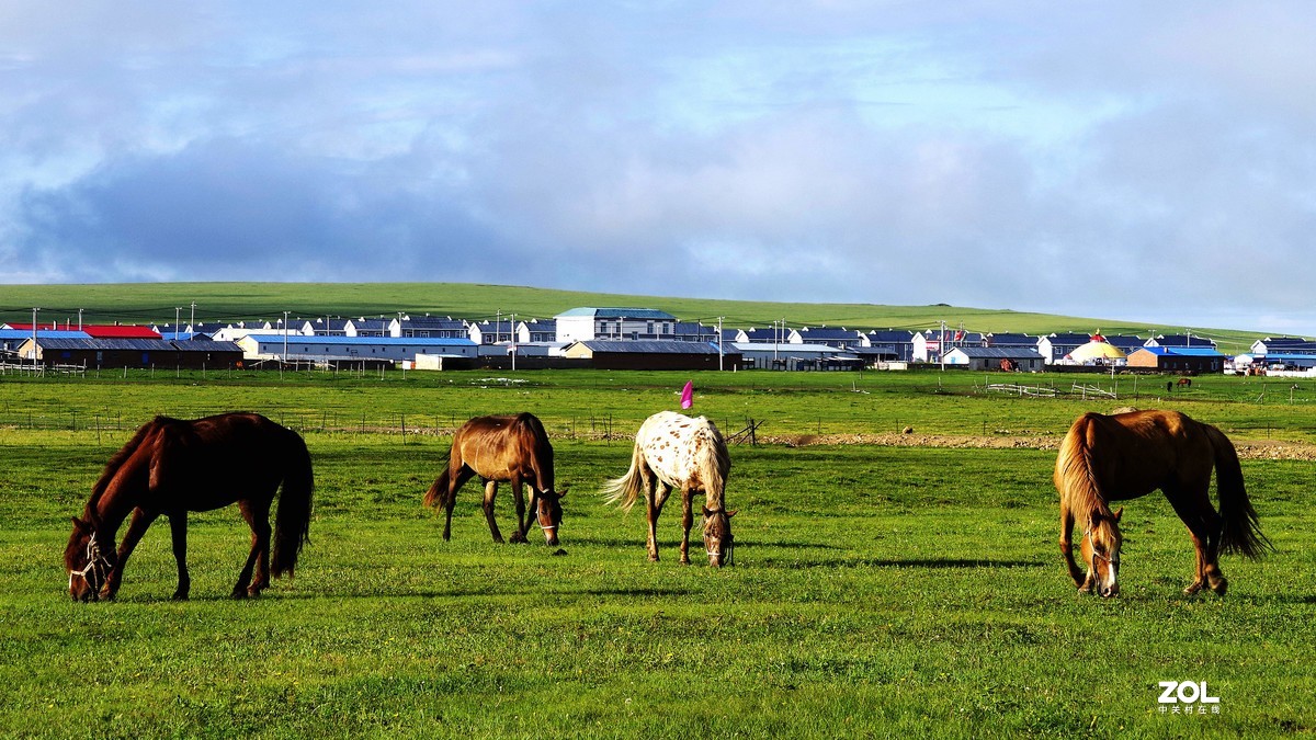 呼伦贝尔草原随拍【15】草原牧场