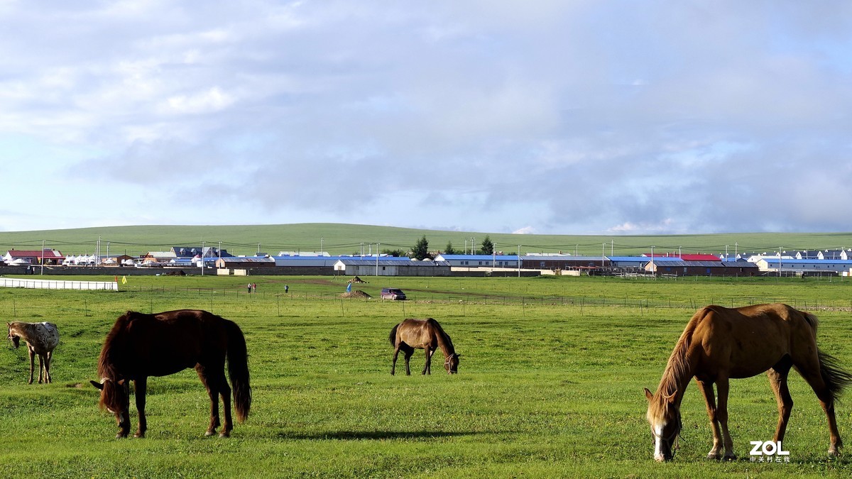 呼伦贝尔草原随拍【15】草原牧场