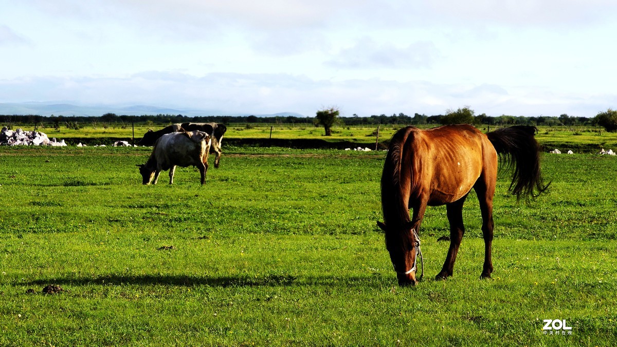 呼伦贝尔草原随拍【15】草原牧场