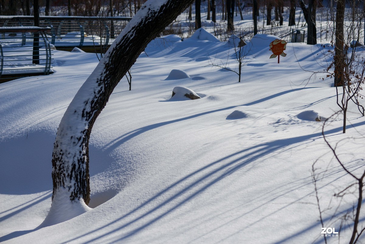 雪韵之美