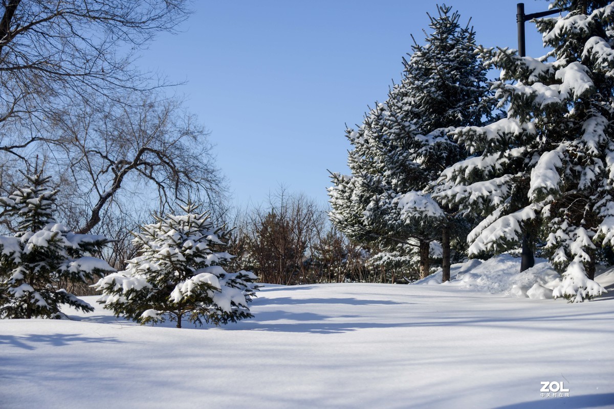 雪韵之美