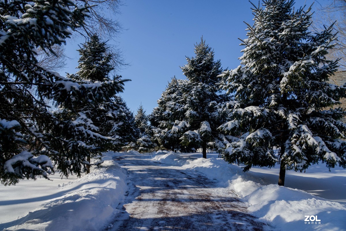 雪韵之美