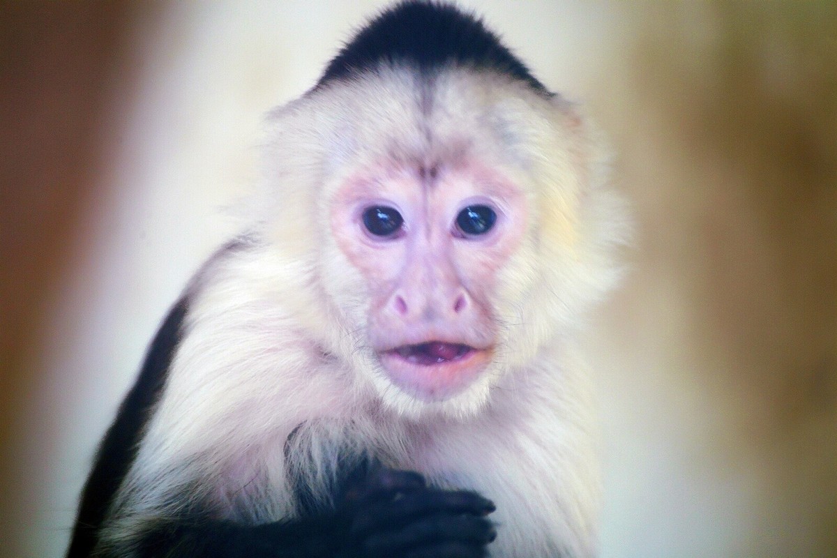 肖像 / 【电影质感画面】