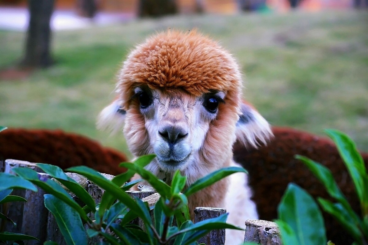 肖像 / 【电影质感画面】