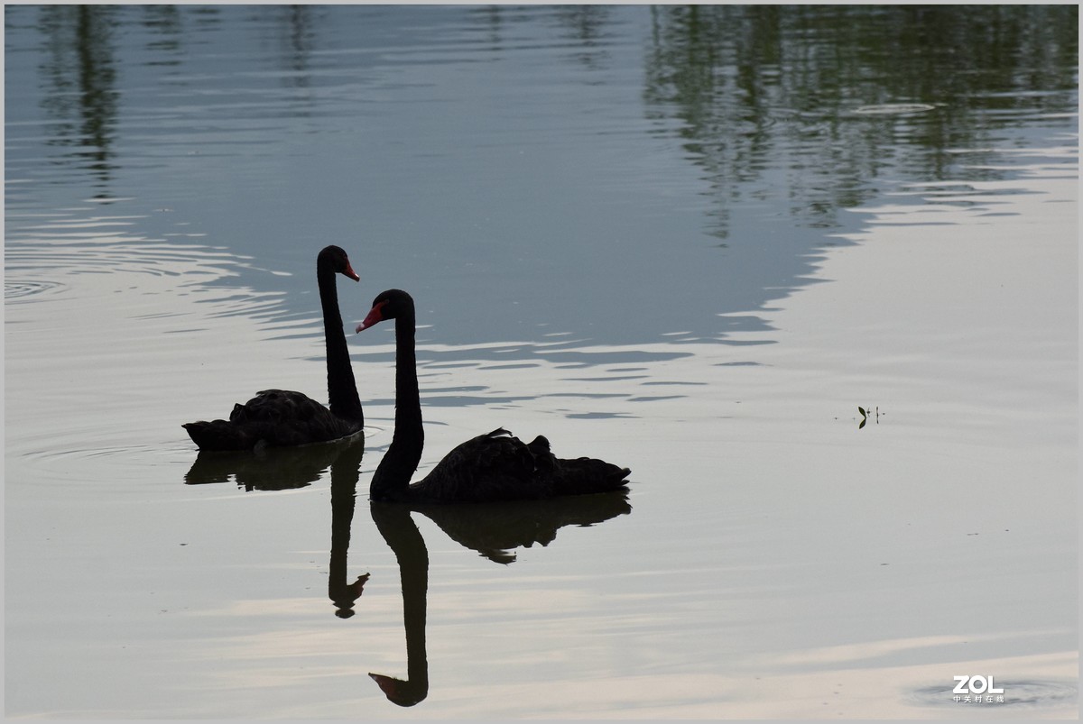 相亲相爱永相伴