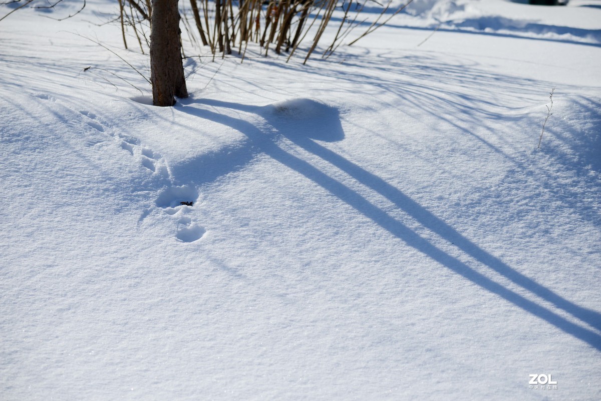 雪韵之美