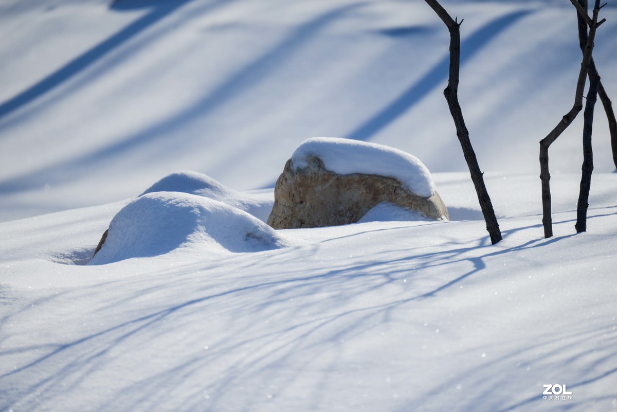 雪韵之美