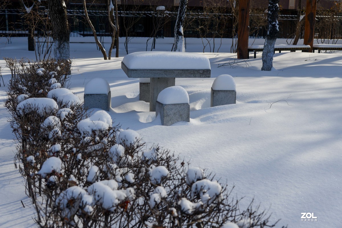 雪韵之美