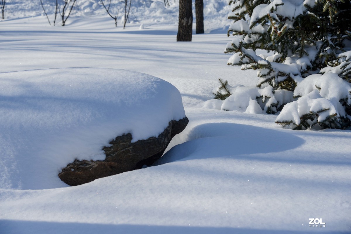 雪韵之美
