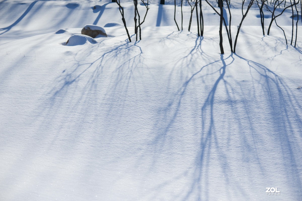雪韵之美