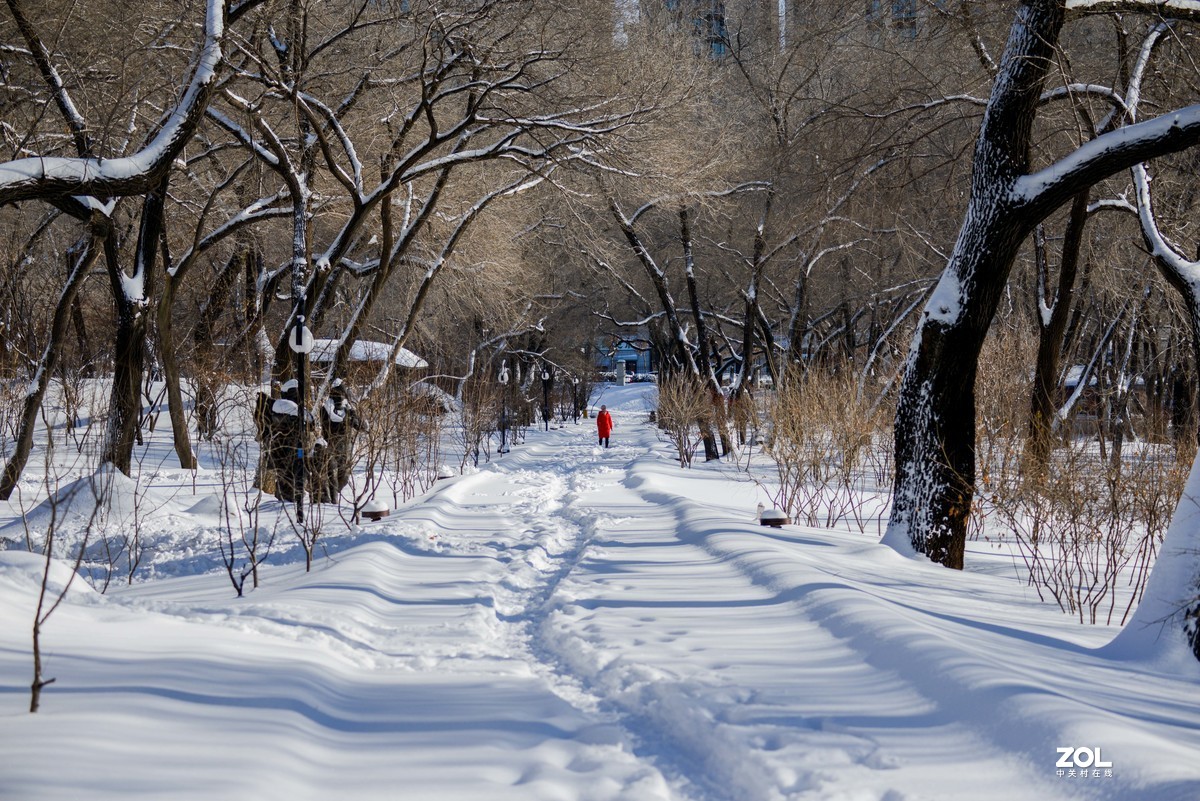 雪韵之美