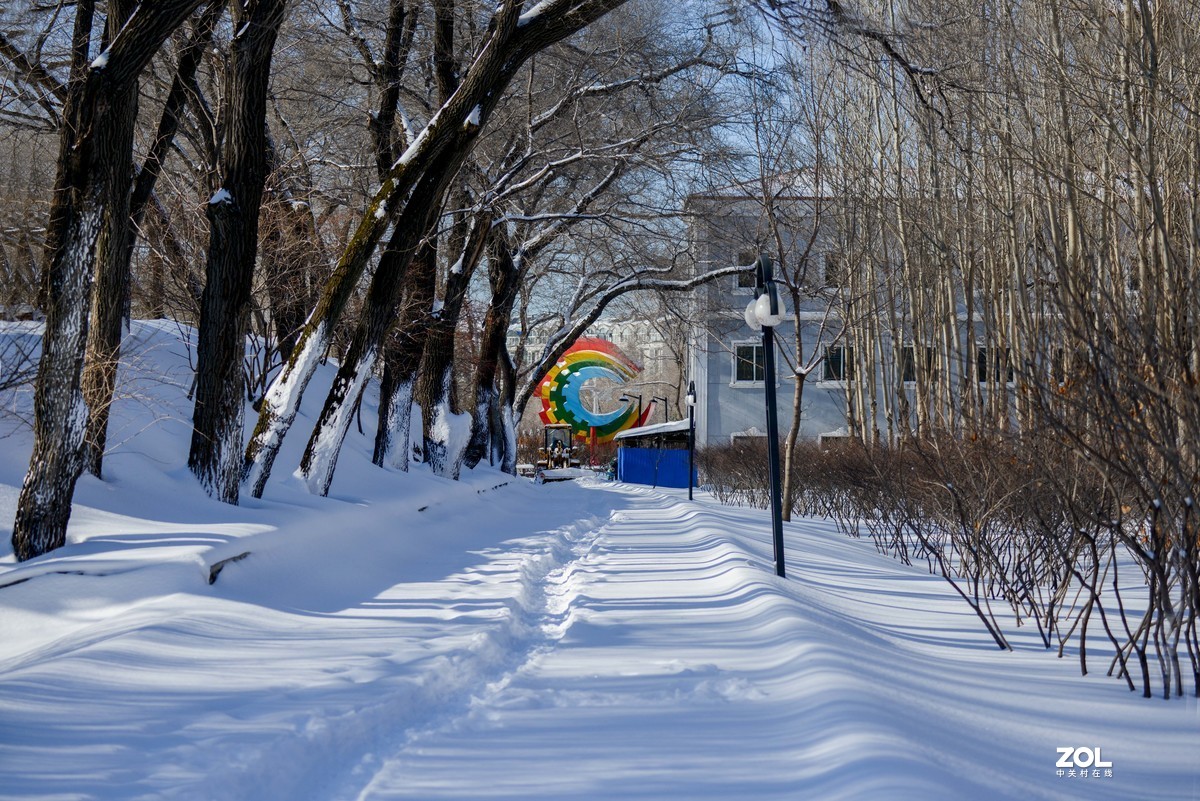 雪韵之美