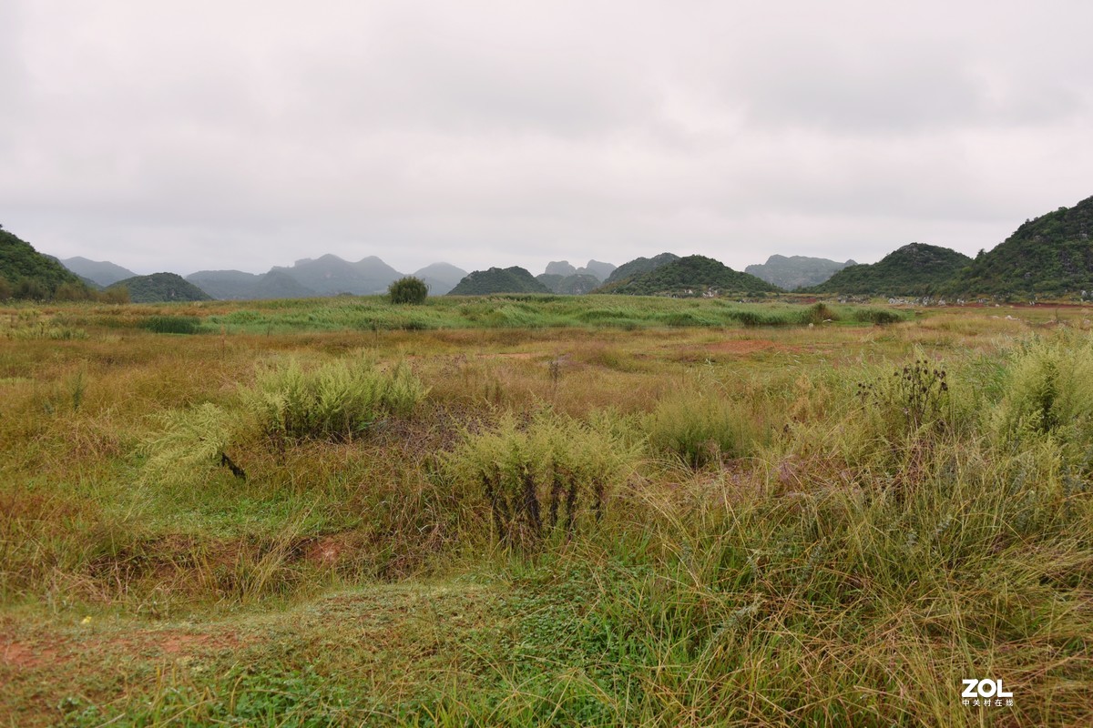 【海峰喀斯特湿地】……3
