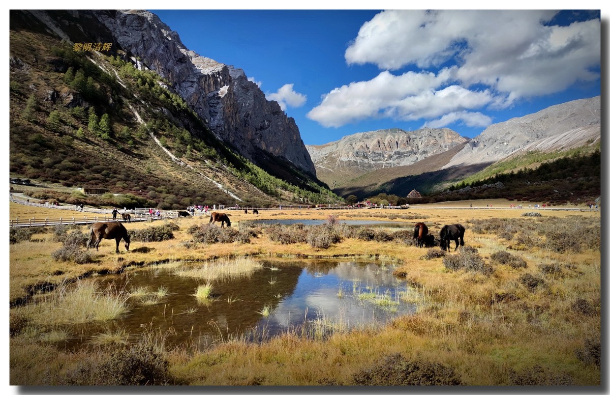 川西行稻城亚丁洛绒牛场5