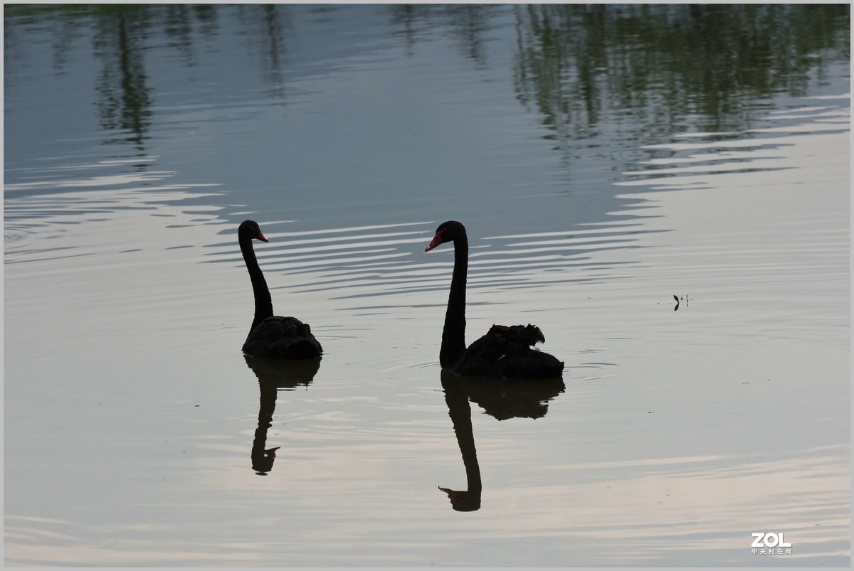 相亲相爱永相伴