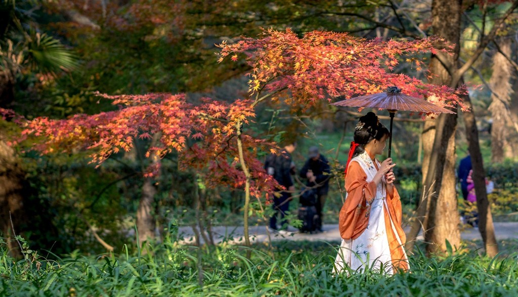 植物园红枫岗采风（随拍）-中关村在线摄影论坛