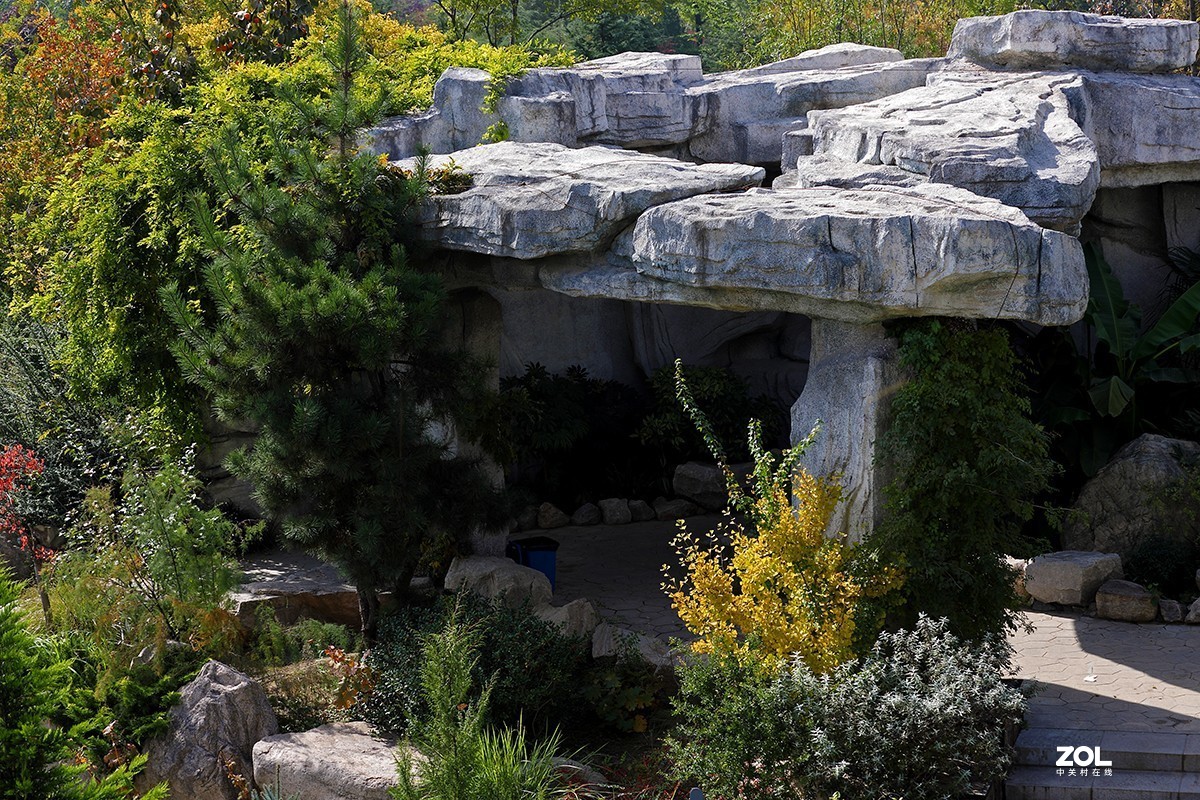沾花惹草植物园