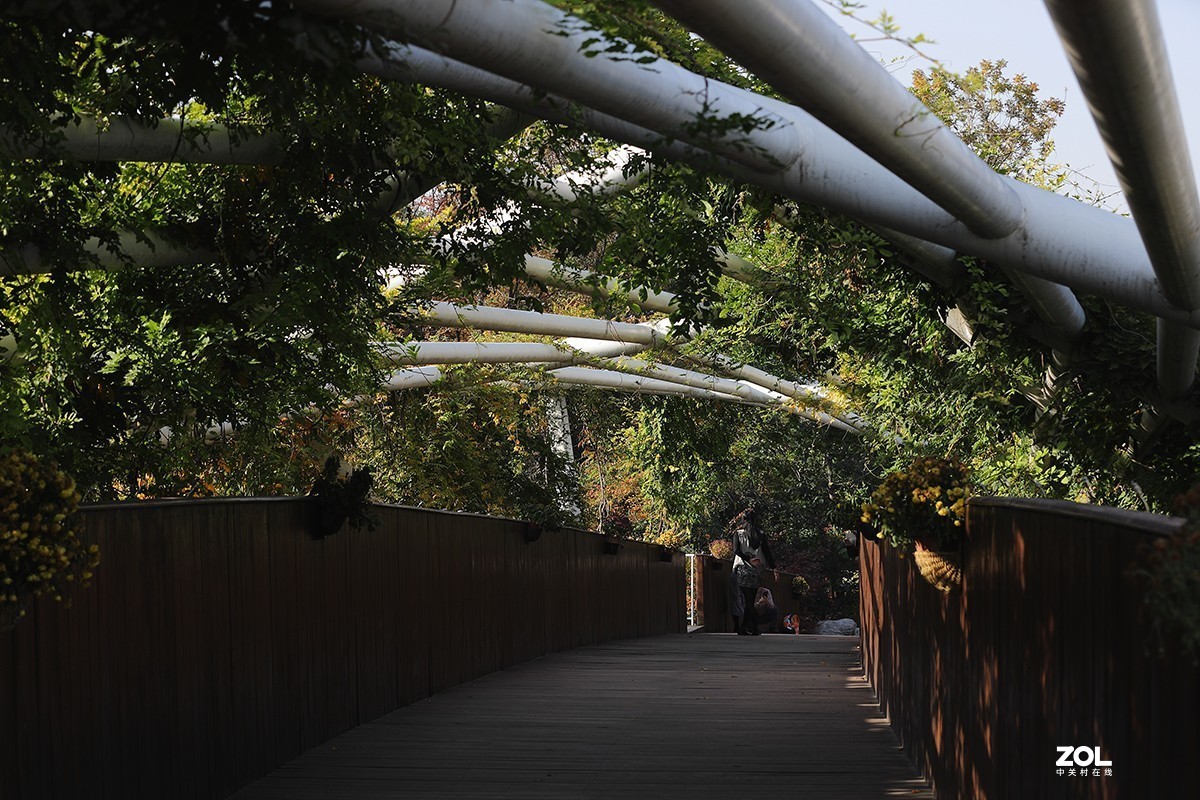 沾花惹草植物园