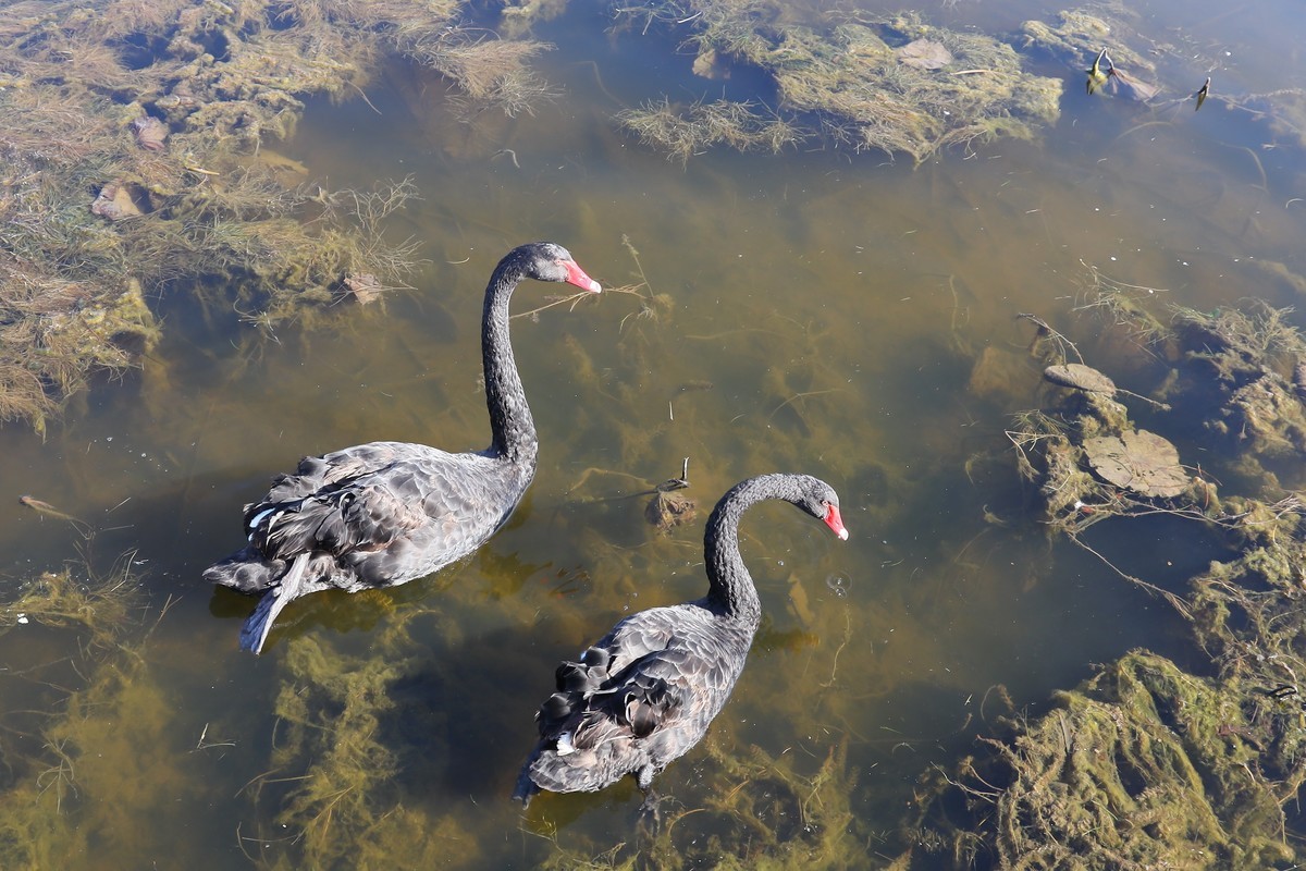 202112天津东丽湖郊野公园