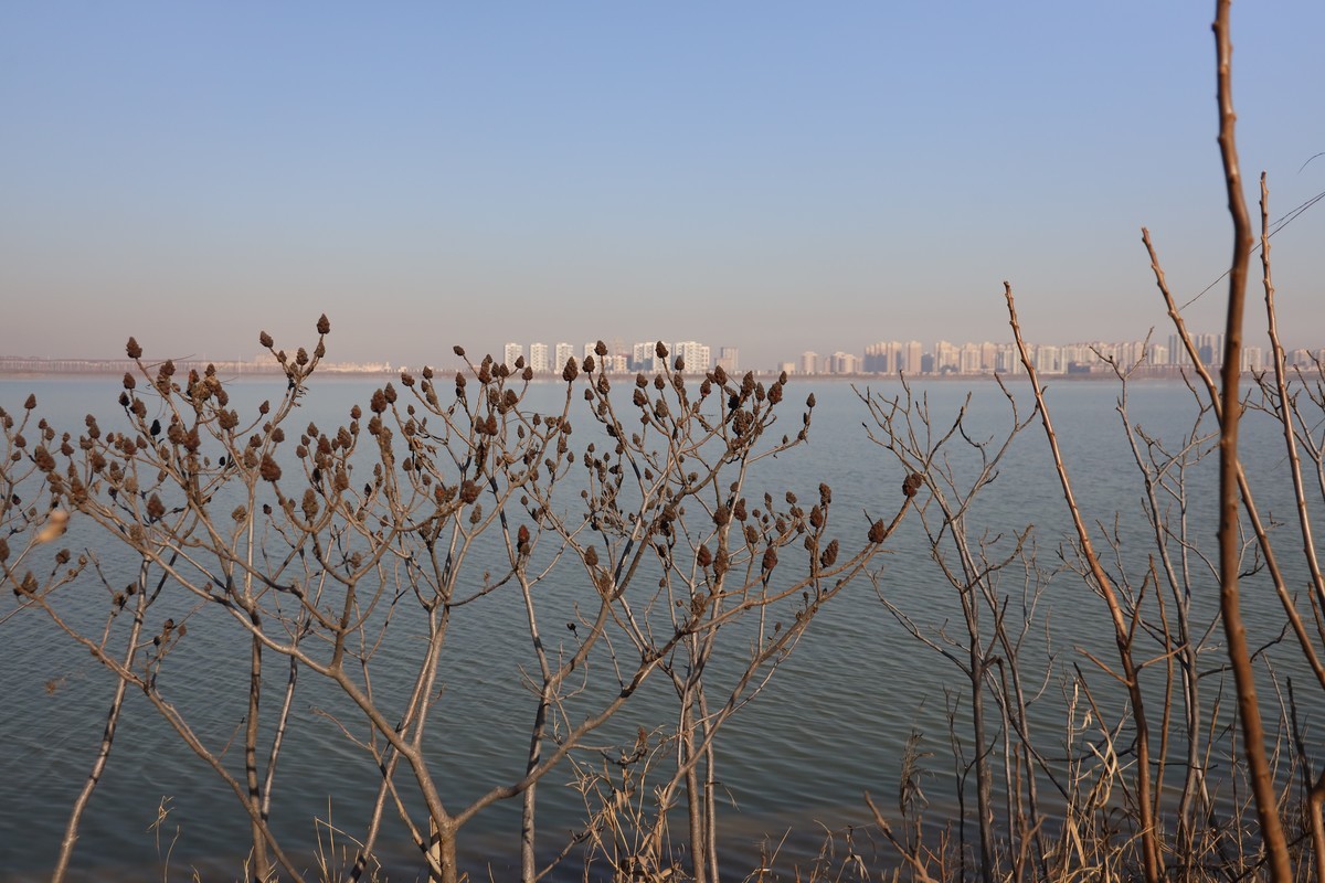 202112天津东丽湖郊野公园