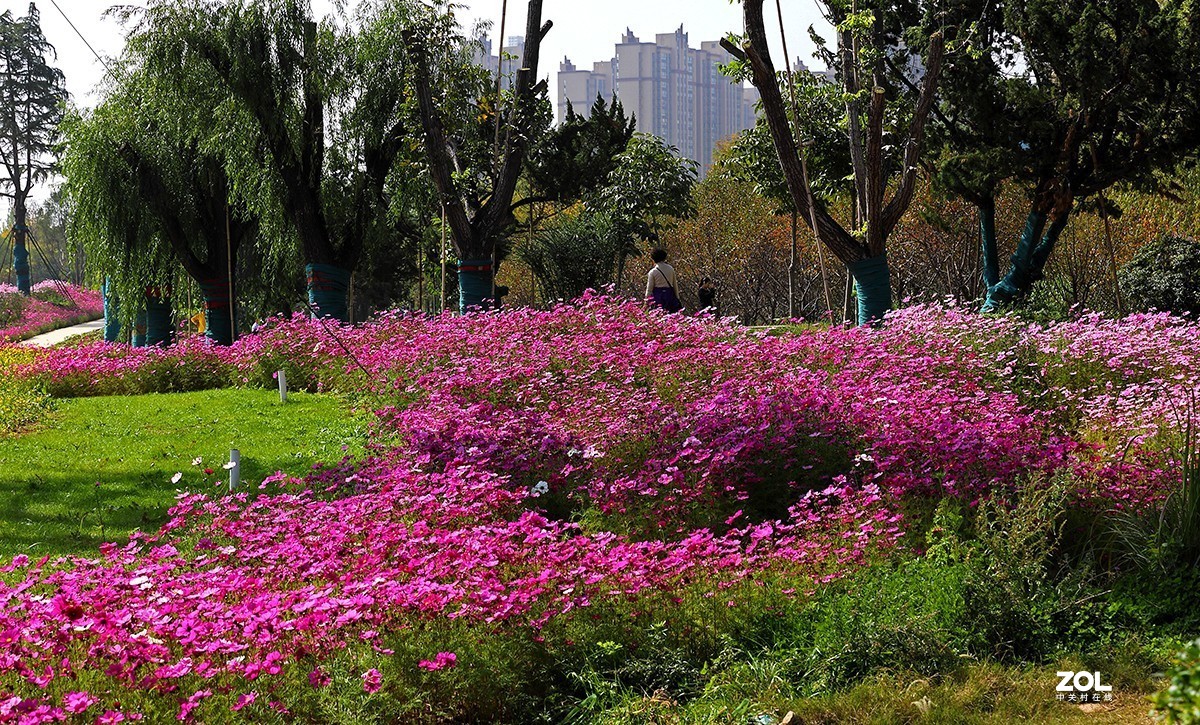 沾花惹草植物园