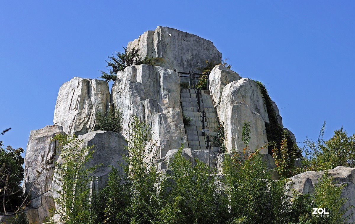 沾花惹草植物园