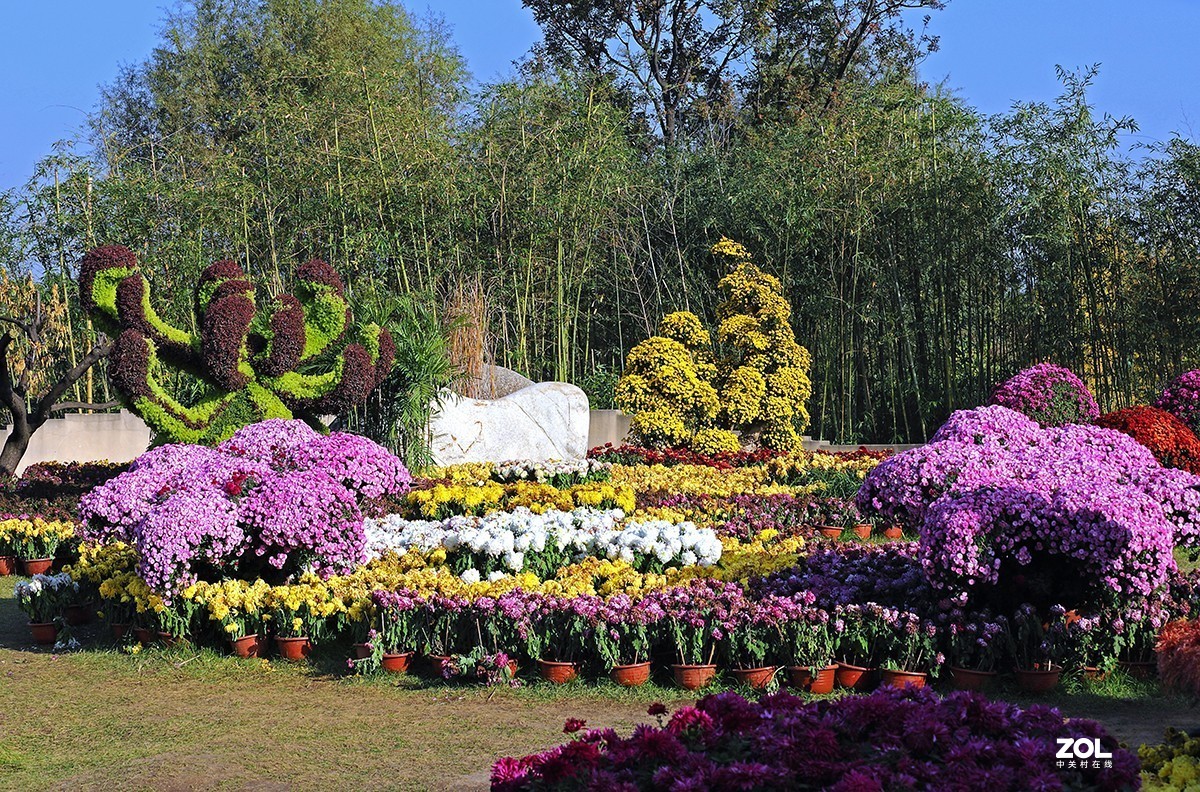 沾花惹草植物园