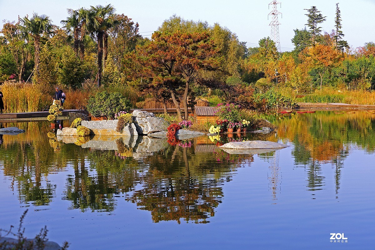 沾花惹草植物园