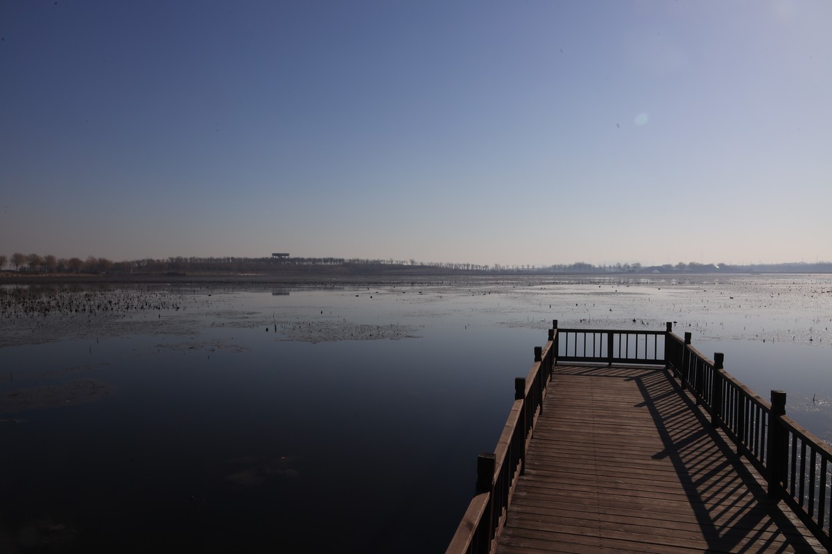 202112天津东丽湖郊野公园