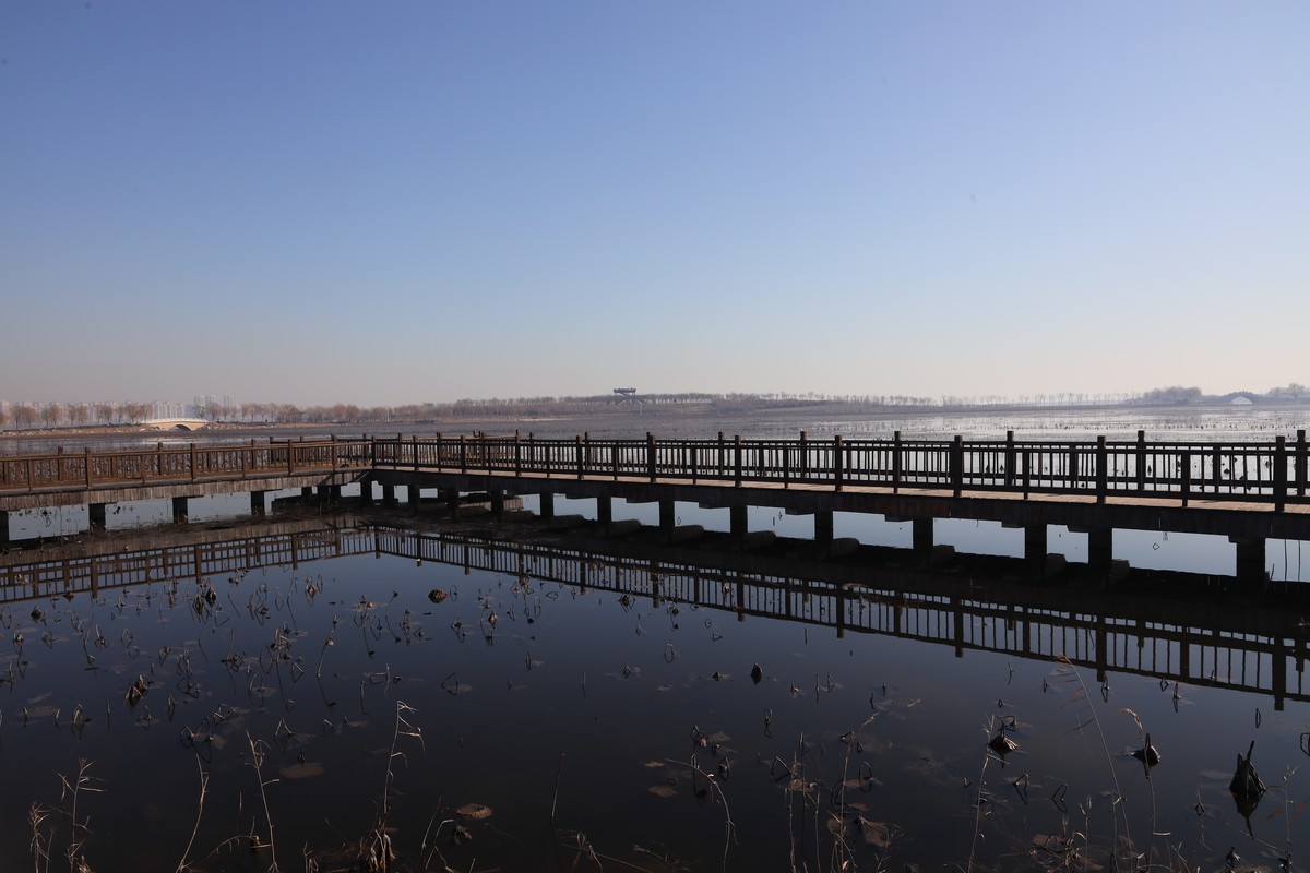 202112天津东丽湖郊野公园